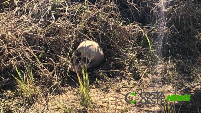 Crânio humano é encontrado em encruzilhada e polícia não descarta ritual