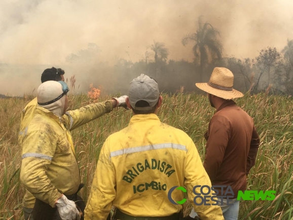 Paraná já registrou mais de 8 mil casos de queimadas em 2019