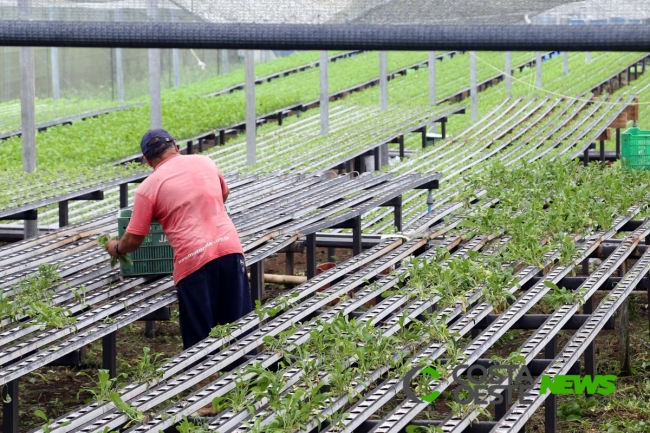 Estado lança edital a cooperativas de agricultores familiares