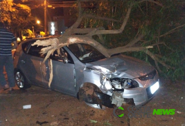 Carro invade calçada e derruba árvore em São Miguel