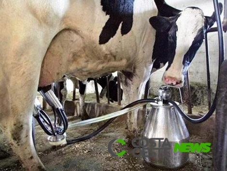 INs 76 e 77: workshops vão orientar produtores sobre novas normas do leite