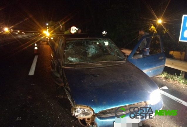 Irmãos ficam feridos em acidente na BR-277 em São Miguel