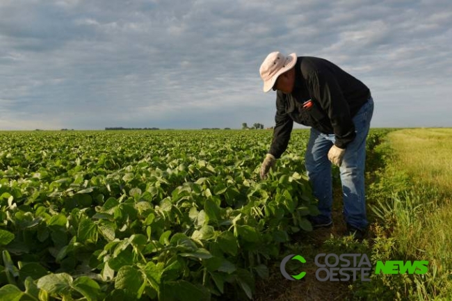 Governo faz ajustes nas regras do Programa de Seguro Rural para o próximo ano