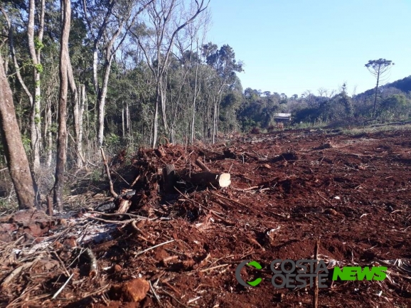 Polícia Ambiental prende produtor rural por desmatamento
