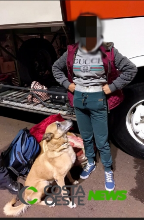 Com cão farejador, Polícia Federal apreende ecstasy e outras drogas em abordagens distintas