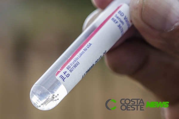 Paraná registra o primeiro caso de Chikungunya no período epidemiológico