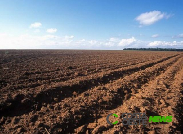 Falta de chuva atrasa o plantio da soja no Oeste do Paraná