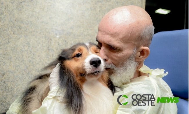 Paciente com câncer melhora após visita de cão e surpreende médicos 