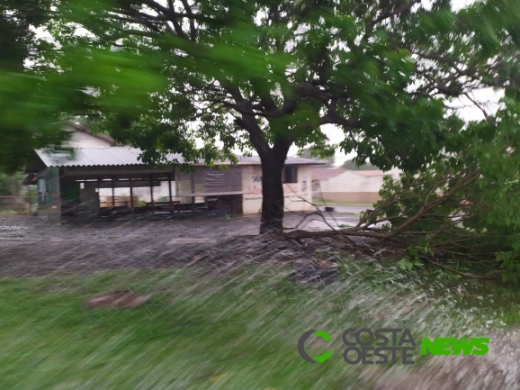 Temporal teve rajadas de vento de até 95,8 km/h nas regiões Oeste e Sudoeste