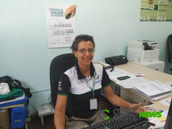 Adapar de Santa Helena alerta produtores para cadastramento de rebanhos após suspensão da vacina contra a febre aftosa