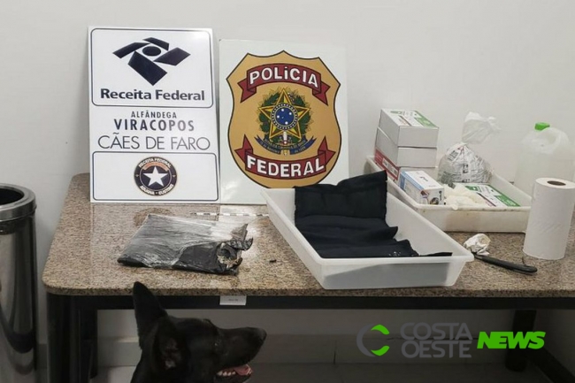 Apreensão de cocaína pela Receita bate recorde em 2019