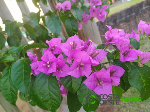 Semana começa com aumento nas temperaturas e não há previsão de chuva