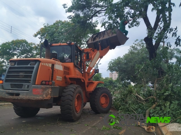 Prefeitura promove mutirão de limpeza após chuva e ventos fortes em Santa Helena