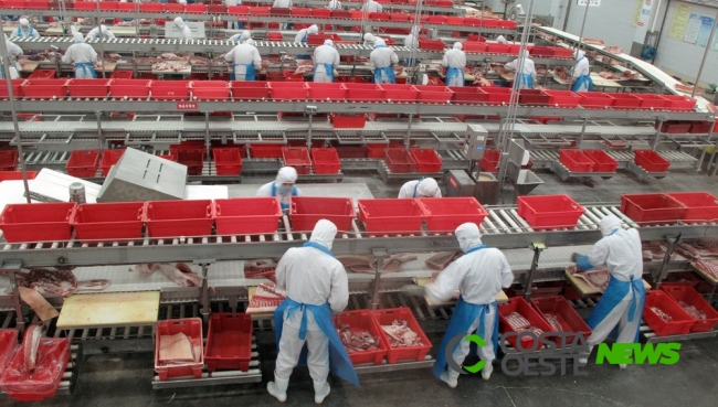 China autoriza mais 13 frigoríficos brasileiros para exportação de carnes; veja lista