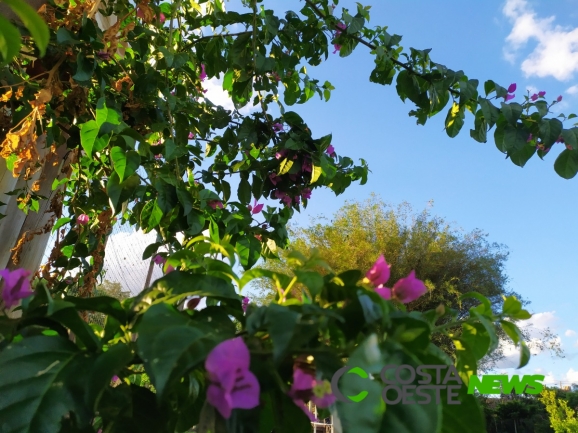 Sexta-feira (29) será de clima agradável 