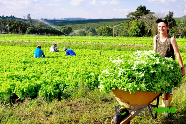 Paraná vai focar ações na agricultura familiar em 2020