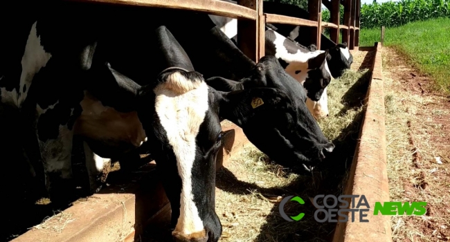 Município convoca produtores de leite para programa de incentivo ao melhoramento genético