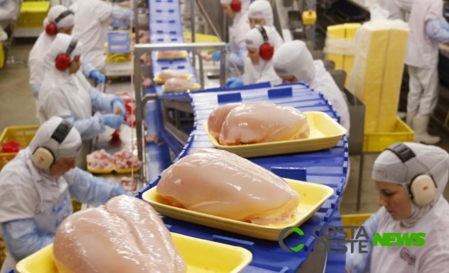 Início de ano promissor nas exportações de carne de frango