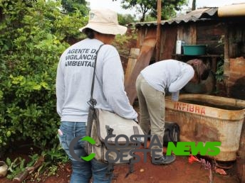 Casos confirmados de dengue passam de 330 em Guaíra