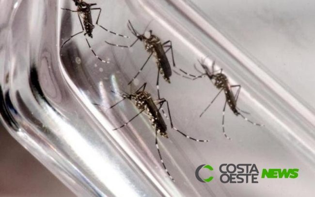 Guaíra está em guerra contra a dengue; casos passam de 140