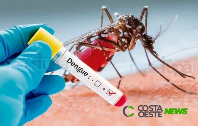 Sobe para sete o número de óbitos por dengue no Paraná