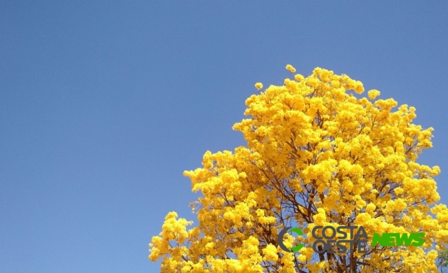 Quinta-feira (23) começa com clima ameno, mas temperaturas sobem ao longo do dia