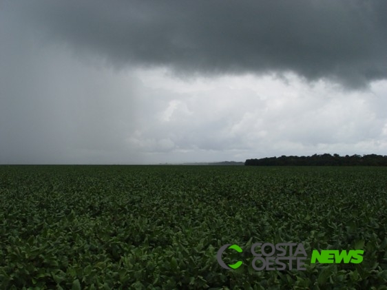 Retorno da chuva garante produtividade da soja no oeste paranaense