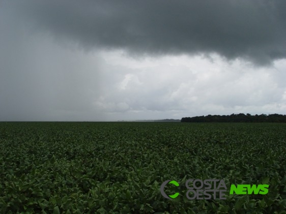 Retorno da chuva garante produtividade da soja no oeste paranaense