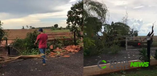 Vendaval atinge área rural de Guaíra e causa estragos; vídeo