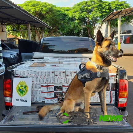 BPFron recupera  Hillux roubada abarrotada com cigarros e detém condutor em Santa Helena