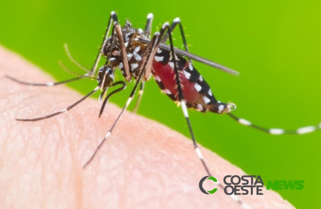 Foz registra o primeiro óbito por dengue