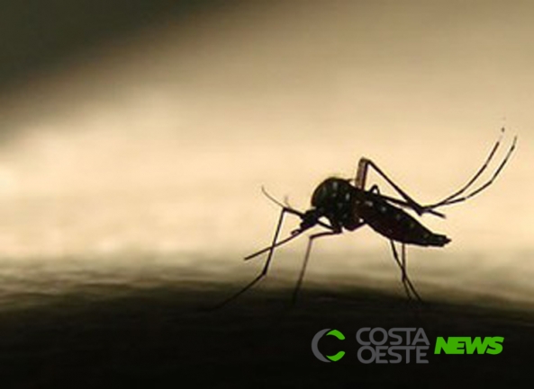 Quarto óbito por dengue é registrado em Medianeira