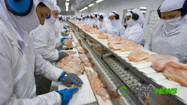 Exportação de frango em fevereiro surpreende; mercado interno ainda patina