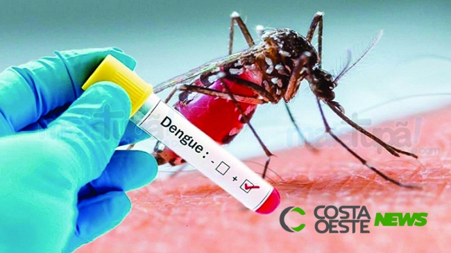 Dengue: Santa Helena contabiliza mais de 1330 notificações e cerca de 700 casos confirmados