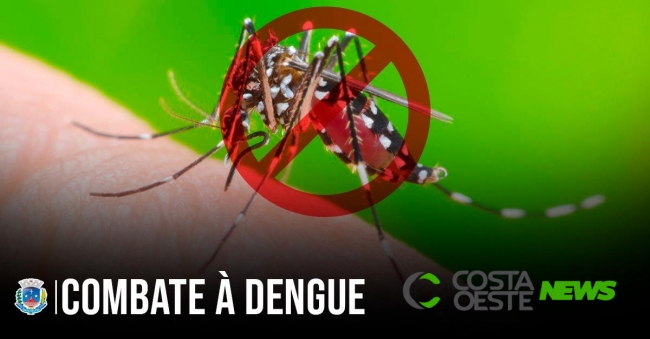 Santa Helena  entra no quadro de municípios em epidemia de Dengue; 