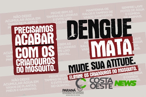 Já são 123 casos positivos de dengue em Missal