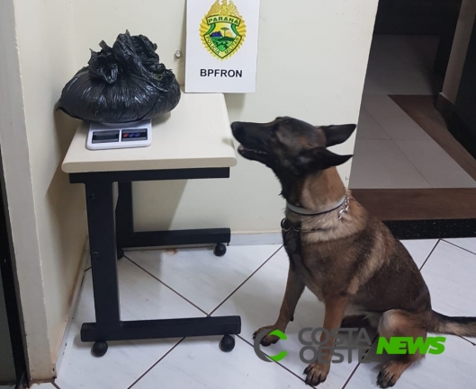 Policiais apreendem drogas e contrabando em operação na BR-277, em Medianeira