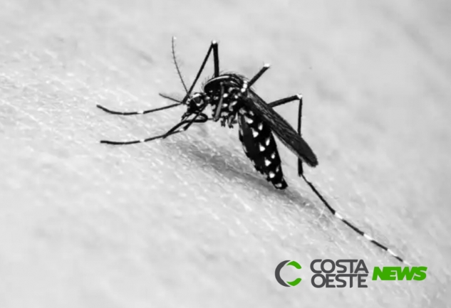 Menino de quatro anos morre com suspeita de dengue no Paraná