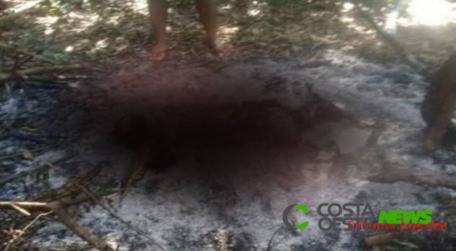 Possível corpo de criança raptada é encontrado carbonizado no Paraguai