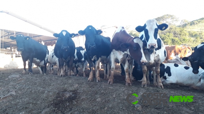 Produtores de leite estão preocupados com demanda em baixa, alto custo de produção, seca e preço  