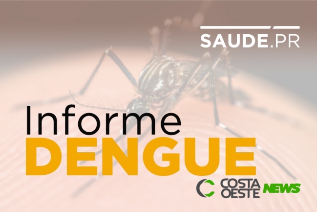 Paraná registra 142.098 casos de dengue; uma gestante foi confirmada com zika