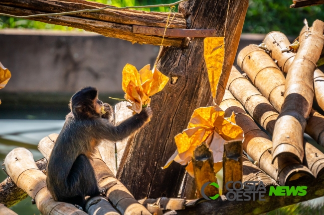 Bicharada do Refúgio de Itaipu comemora Páscoa com mimos e cardápio especial