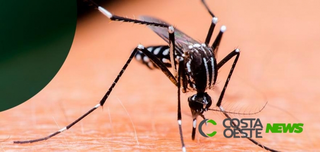 Aumento de casos de dengue preocupa em Medianeira e população deve auxiliar na eliminação de criadouros
