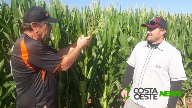 Rede Costa Oeste inicia série de reportagens que mostra a realidade de agricultores e produtores da nossa região