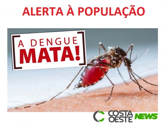 Santa Helena contabiliza 1270 casos confirmados de dengue, aponta boletim