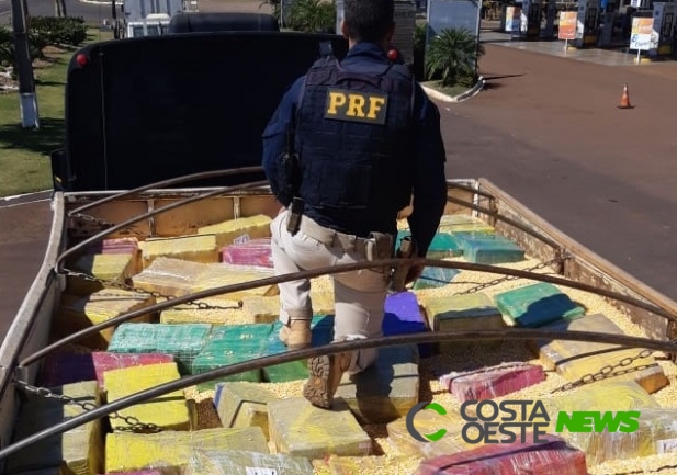 PRF apreende 1 tonelada de maconha escondida em carga milho; motorista foi preso em flagrante