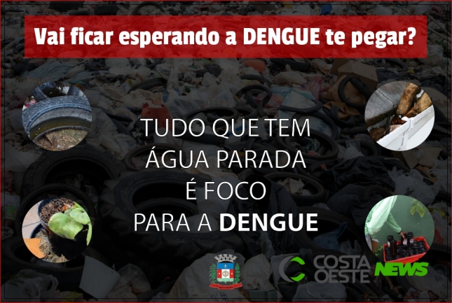 Medianeira tem 713 casos confirmados de dengue