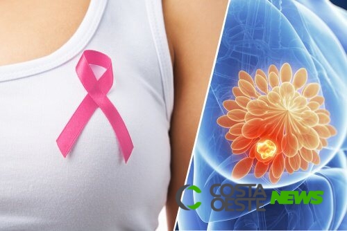 Frutas para prevenir o câncer de mama