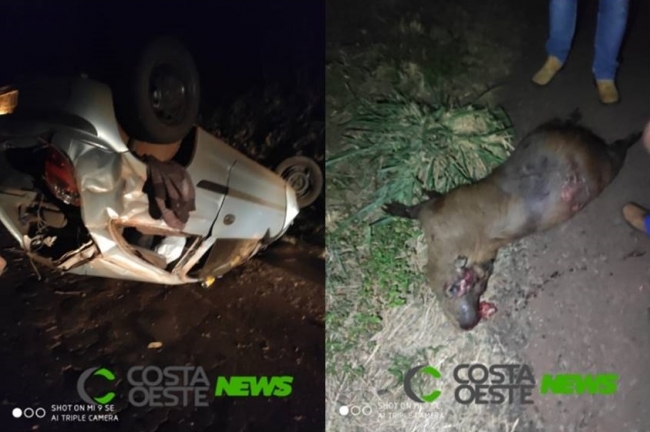 Celta capota após colidir em capivara na PR 317 em Santa Helena