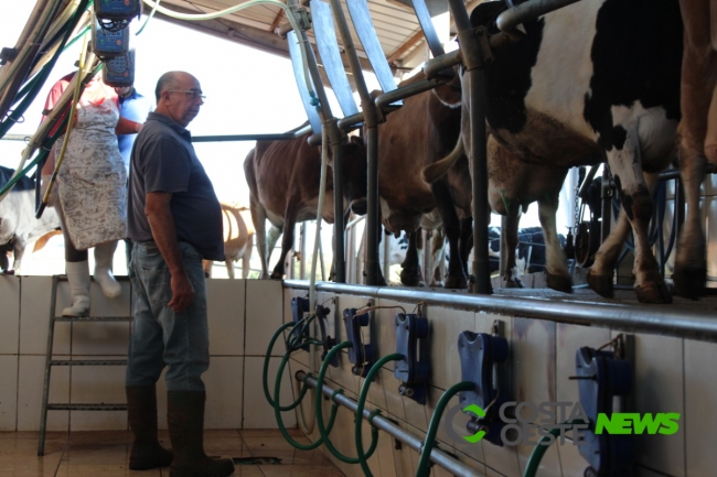 Qualidade de vida animal e melhora genética fazem produção de leite aumentar, mas preço decepciona 